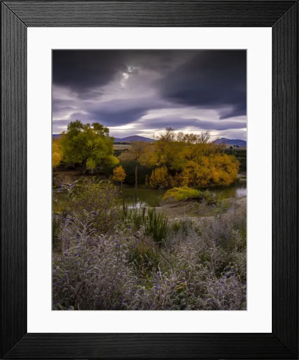 Framed Print : Ida valley, South Island, New Zealand Framed Print : Ida valley, South Island, New Zealand