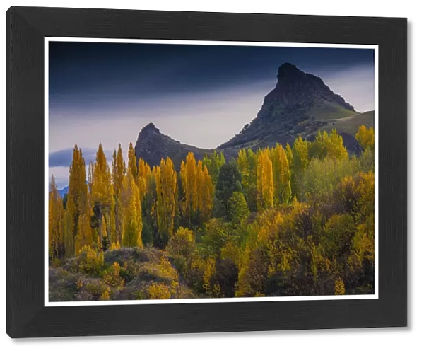Viewpoint in the autumn at Cromwell, South Island, New Zealand