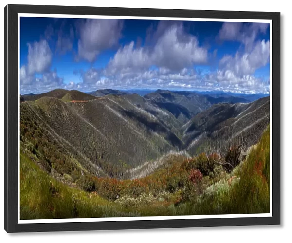 Viewpoint at Mount Hotham, showing the new growth after devastating bushfires