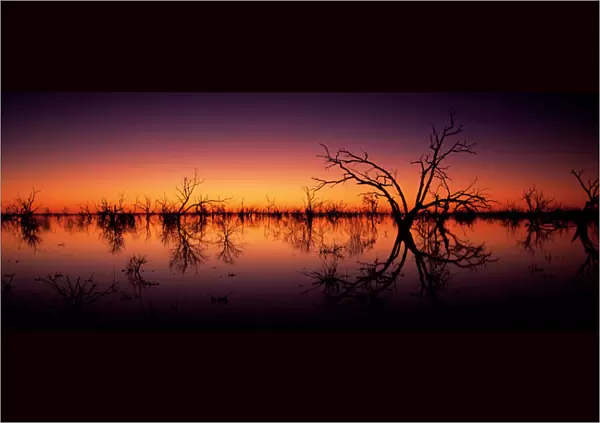 Stunning Australian outback sunset colours and with dead trees featured on Tandure Lake