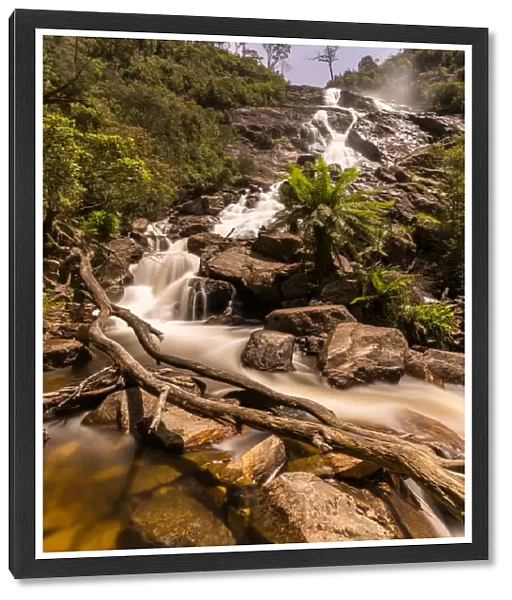 St Columba Falls, Tasmania, Australia