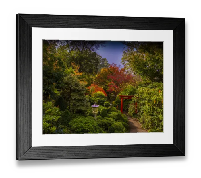 Framed Print : Autumnal colours of the season in Mount Macedon, Victoria, Australia Framed Print : Autumnal colours of the season in Mount Macedon, Victoria, Australia
