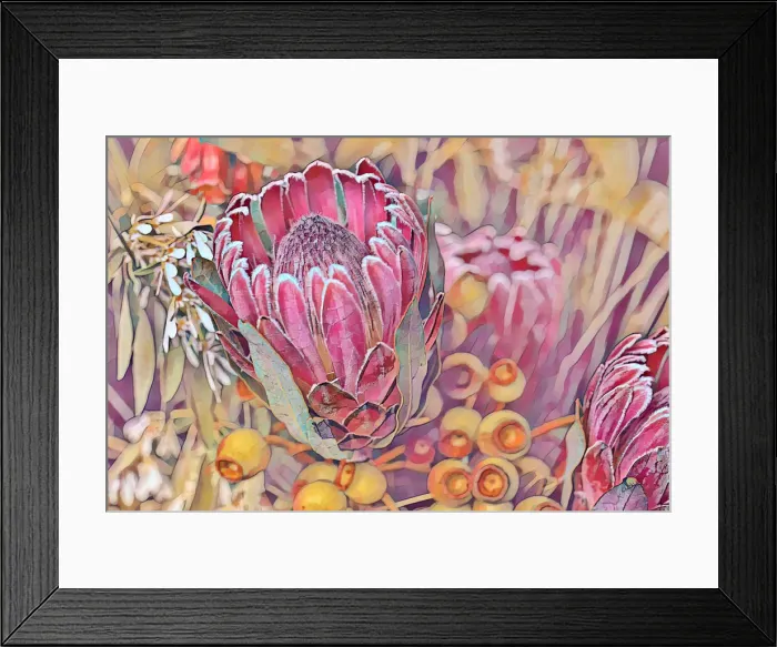 Framed Print : Creative digital image manipulation of a a bunch of flowers, proteas and gumnuts Framed Print : Creative digital image manipulation of a a bunch of flowers, proteas and gumnuts