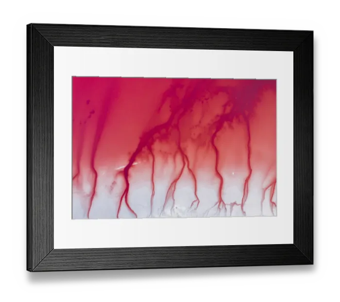 Framed Print : Aerial view of patterns of salty pink lake. Pink Salt Lake Hutt Lagoon