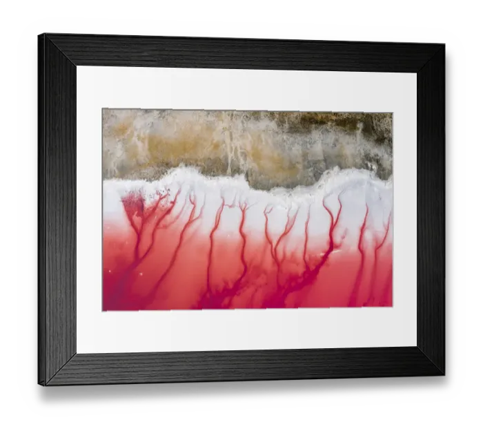 Framed Print : Aerial view of patterns of salty pink lake. Pink Salt Lake Hutt Lagoon Framed Print : Aerial view of patterns of salty pink lake. Pink Salt Lake Hutt Lagoon