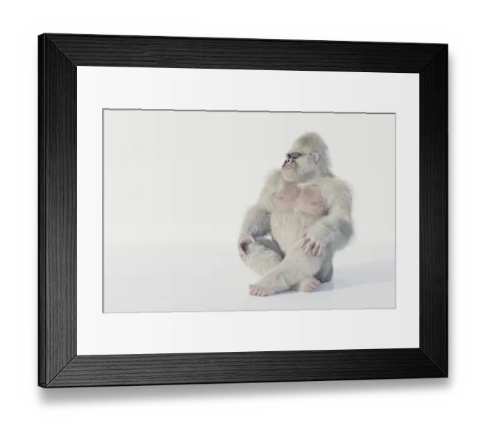 Framed Print : Albino gorilla with sunglasses sitting