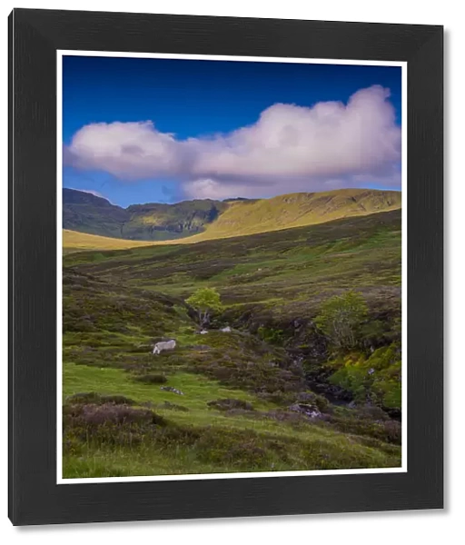 Loch Tay district, Eastern Highlands, Scotland