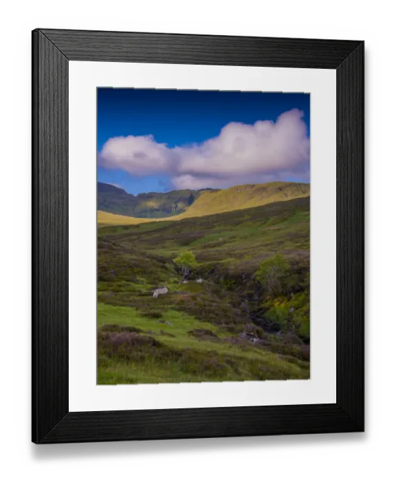 Framed Print : Loch Tay district, Eastern Highlands, Scotland Framed Print : Loch Tay district, Eastern Highlands, Scotland