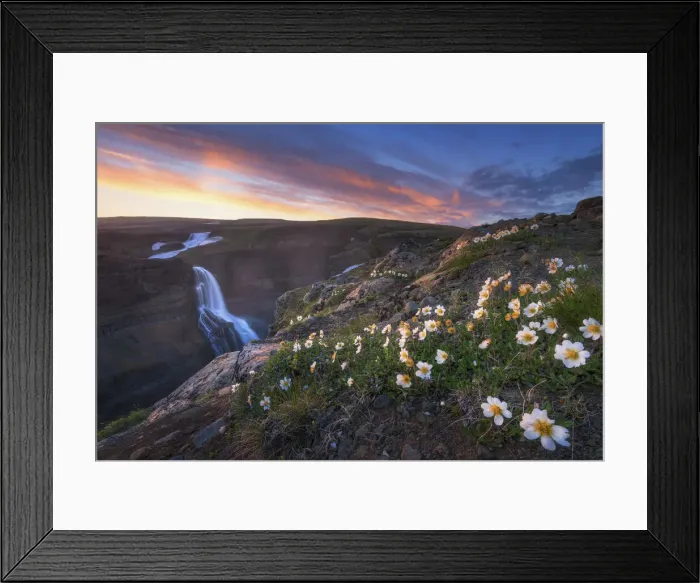 Framed Print : Flowers of Glani fall, Iceland