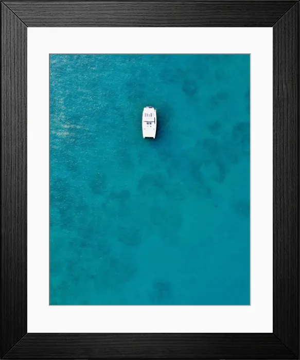 Framed Print : Feeling blue Framed Print : Feeling blue