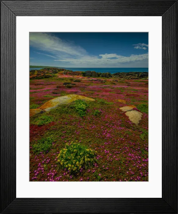 Framed Print : Northern coastline of King Island at Disappointment bay Framed Print : Northern coastline of King Island at Disappointment bay