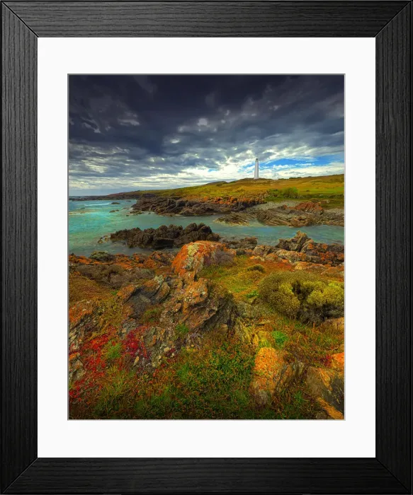 Framed Print : Cape Wickham in late springtime with wildflowers blooming, north coastline of King Island Framed Print : Cape Wickham in late springtime with wildflowers blooming, north coastline of King Island