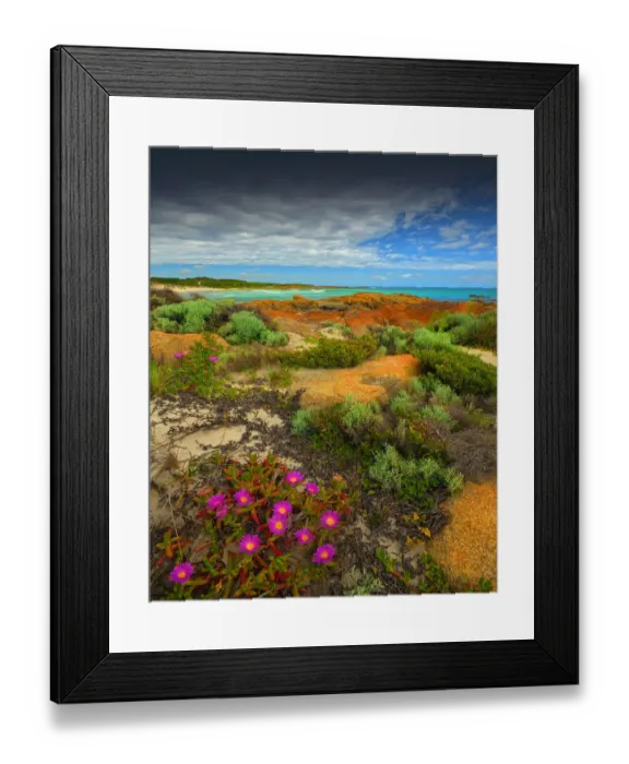 Framed Print : Wild-flowers in bloom during late spring on the southern west coast of King Island