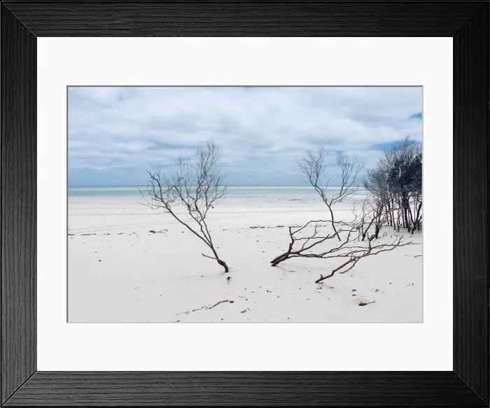 Framed Print : beach bliss Framed Print : beach bliss