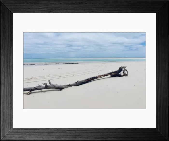 Framed Print : Beach Combing Framed Print : Beach Combing