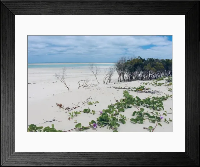Framed Print : Beach Heaven Framed Print : Beach Heaven