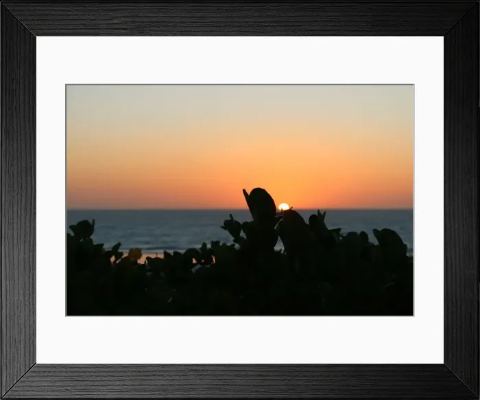 Framed Print : Cable Beach Sunset