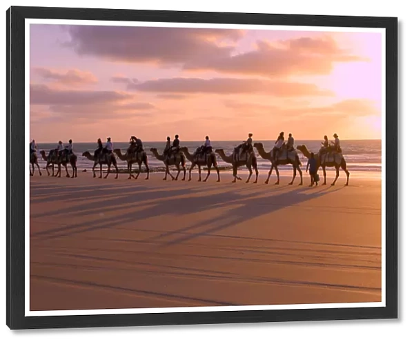 Camels at Sunset, Cable Beach, Broome