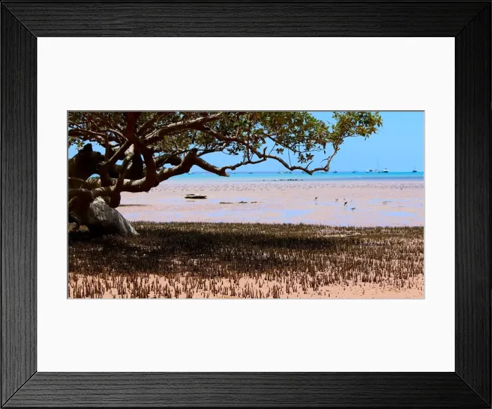 Framed Print : Broom Mangrove View