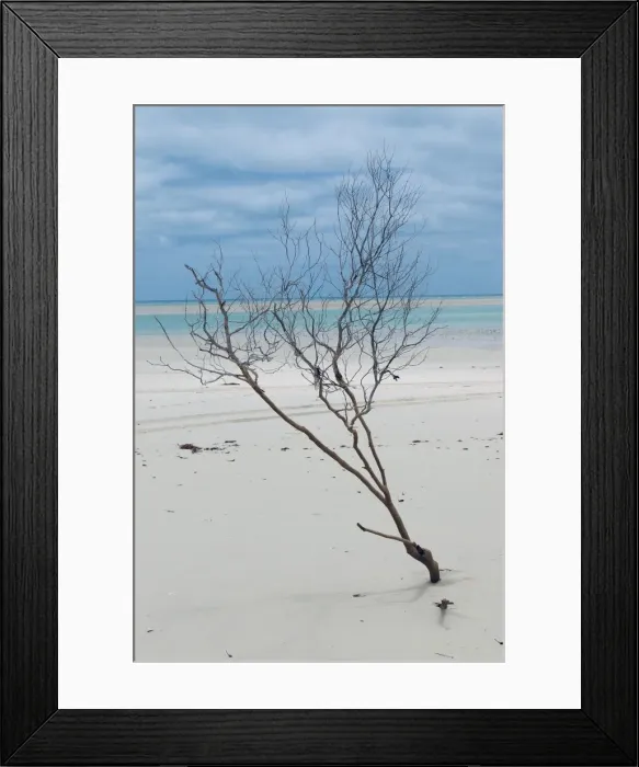 Framed Print : Willie Creek Beach