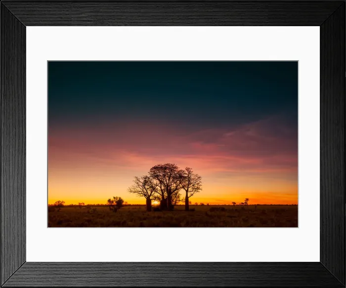Framed Print : Boab trees at sunset, Gibb River Road, Western Australia, Australia Framed Print : Boab trees at sunset, Gibb River Road, Western Australia, Australia