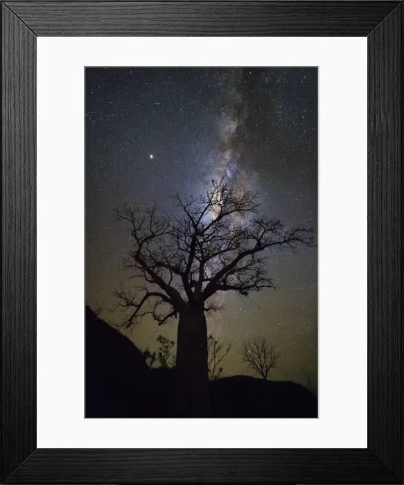 Framed Print : Milky way over boab tree