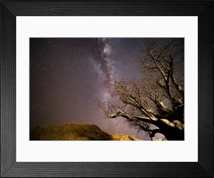 Framed Print : Milky way over boab tree Framed Print : Milky way over boab tree