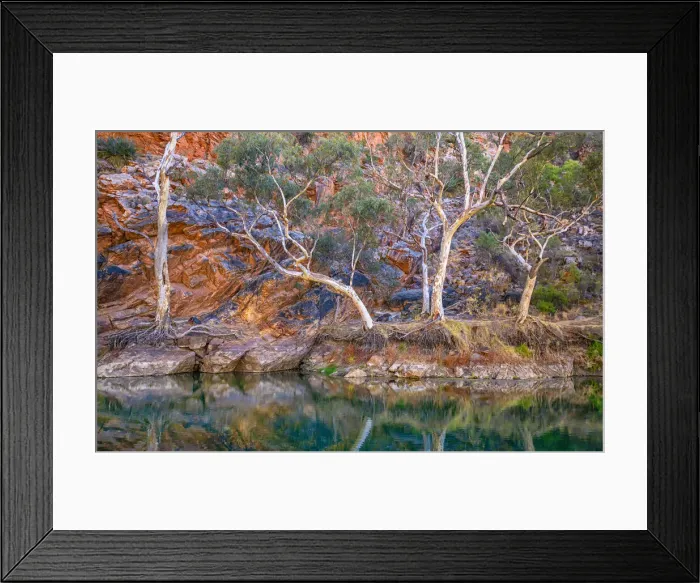 Framed Print : Ellery Creek Big Hole