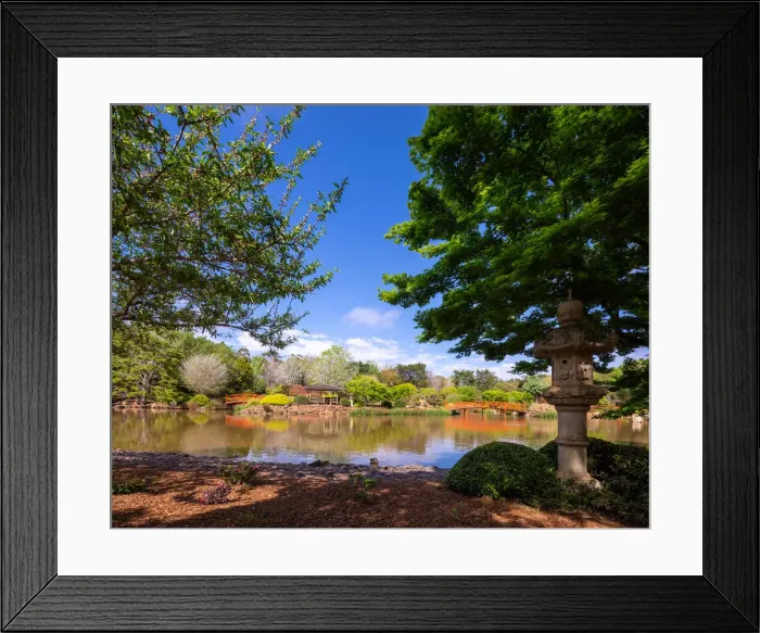 Framed Print : Japanese Garden in Spring, with lake Framed Print : Japanese Garden in Spring, with lake
