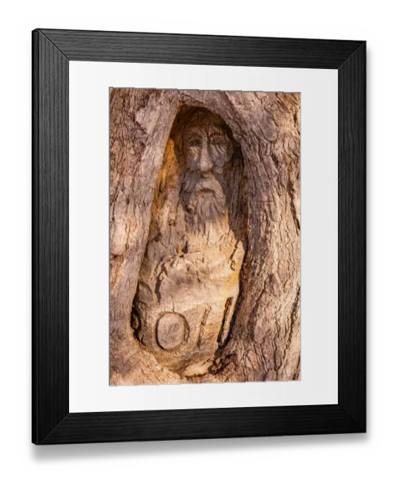 Framed Print : Burke and Wills Face Tree
