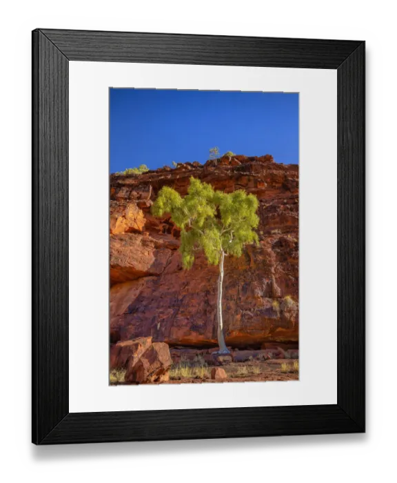 Framed Print : Ghost gumtree, Palm Valley
