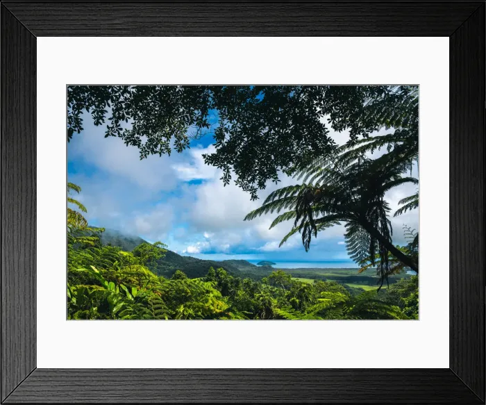 Framed Print : Mount Alexandra Lookout, Daintree National Park, Australia