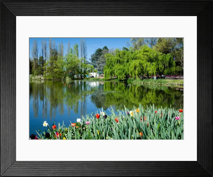 Framed Print : Floriade Gardens