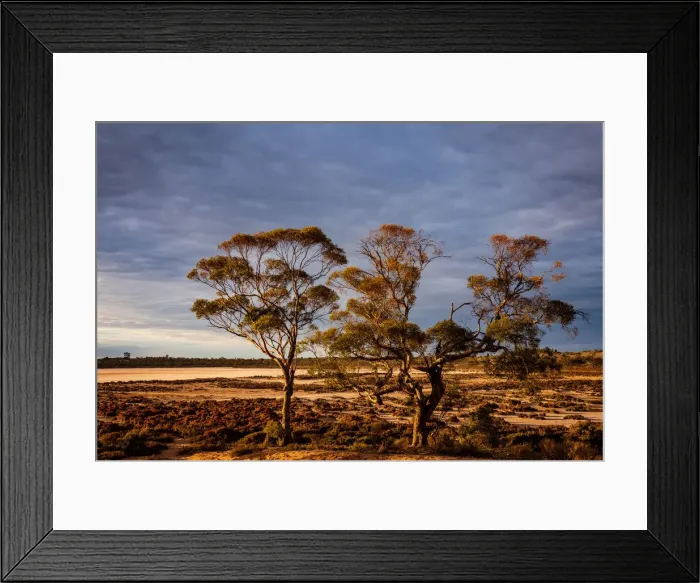 Framed Print : Pink Salt Lake, Murray-Sunset National Park