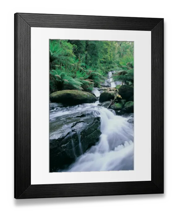 Framed Print : Creek below Tiplet Falls, Otway Ranges, Victoria, Australia Framed Print : Creek below Tiplet Falls, Otway Ranges, Victoria, Australia