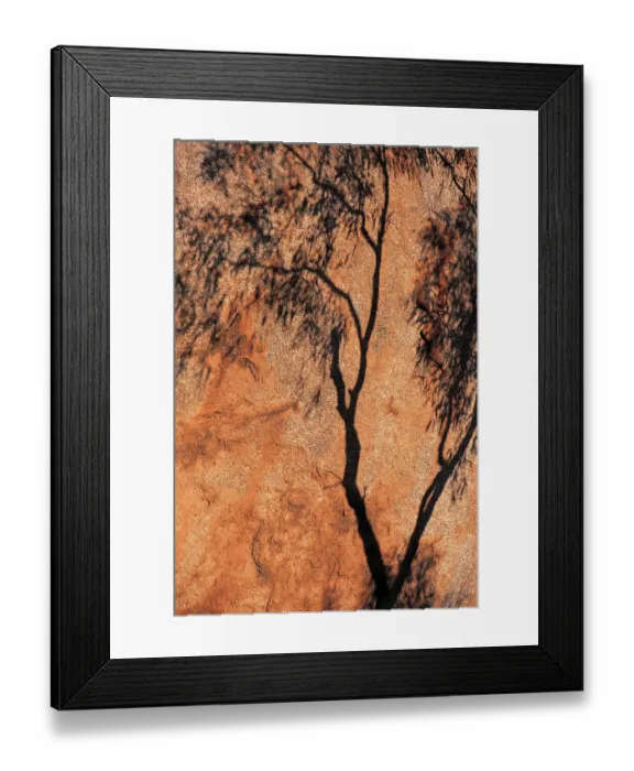 Framed Print : Shadow of Eucalyptus Tree, Devils Marbles, Northern Territory, Australia