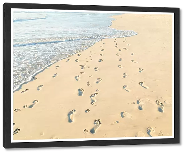Footprints in the sand alongside the ocean