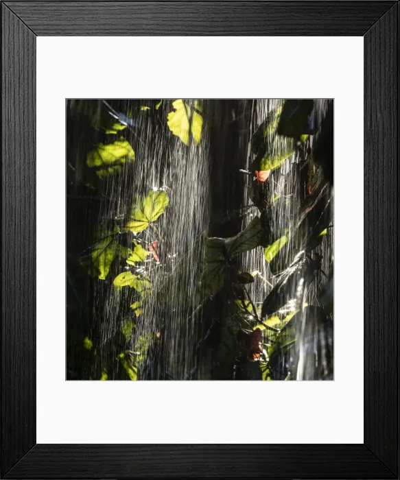 Framed Print : Rain series #1