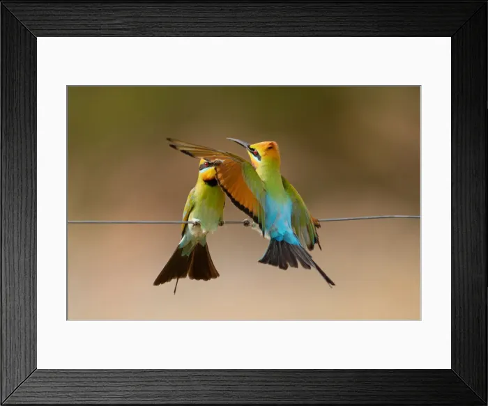 Framed Print : Accidental hit Framed Print : Accidental hit