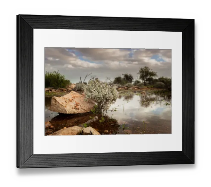 Framed Print : Outback landscape