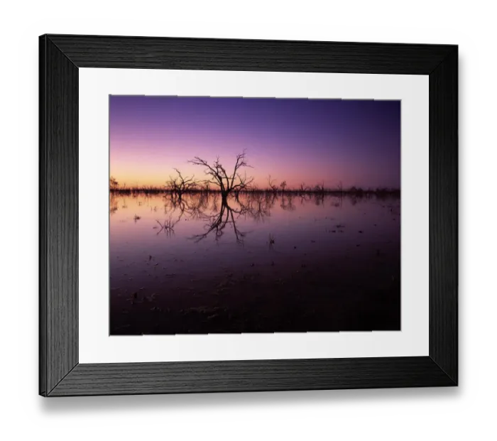Framed Print : Stunning Australian outback sunset colours and with dead trees featured on Tandure Lake Framed Print : Stunning Australian outback sunset colours and with dead trees featured on Tandure Lake