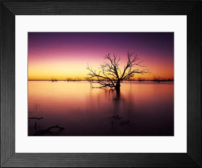 Framed Print : Stunning Australian outback sunset colours and with dead trees featured on Tandure Lake Framed Print : Stunning Australian outback sunset colours and with dead trees featured on Tandure Lake