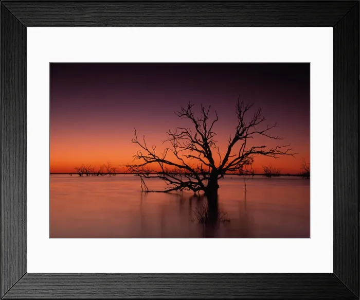 Framed Print : Stunning Australian outback sunset colours and with dead trees featured on Tandure Lake