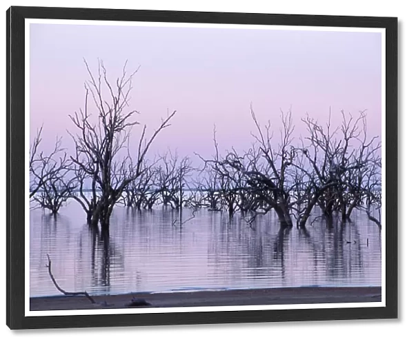 Dusk at Lake Pamamaroo, New South Wales, Australia