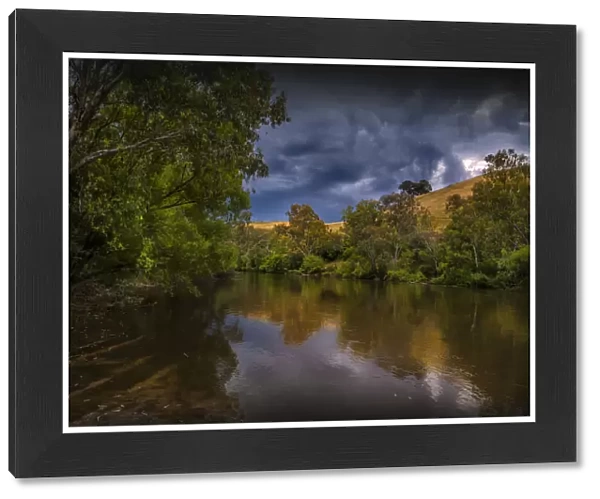 Summer scene on the banks of the Murray river near Corryong