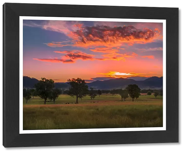 Evening light in the summer season near Corryong, in the lovely fertile farmland of