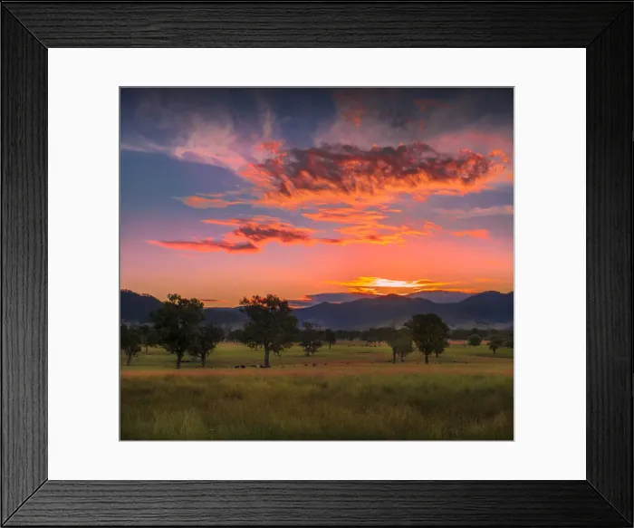Framed Print : Evening light in the summer season near Corryong, in the lovely fertile farmland of Framed Print : Evening light in the summer season near Corryong, in the lovely fertile farmland of