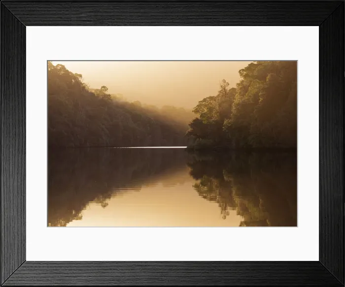Framed Print : Pieman River Reflections at Sunrise
