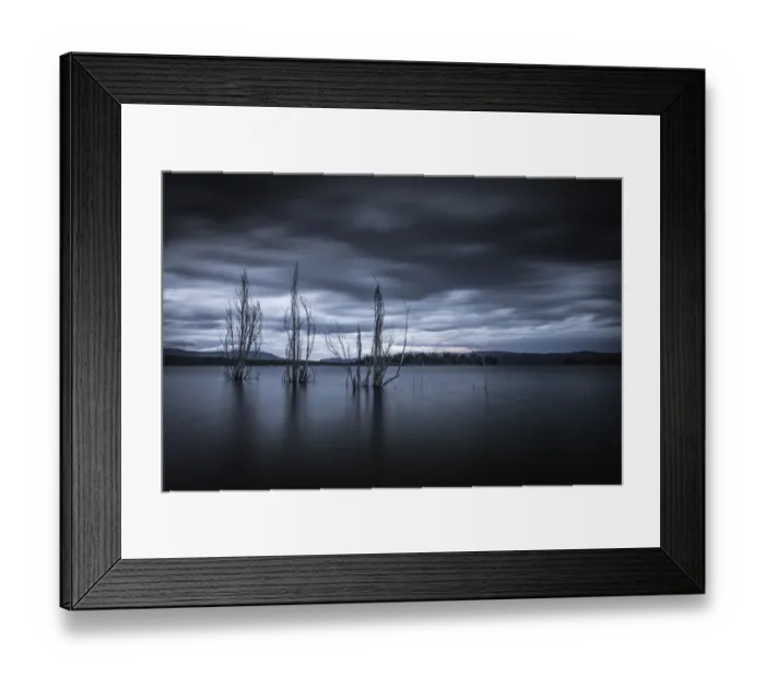 Framed Print : Trees in Lake Jindabyne