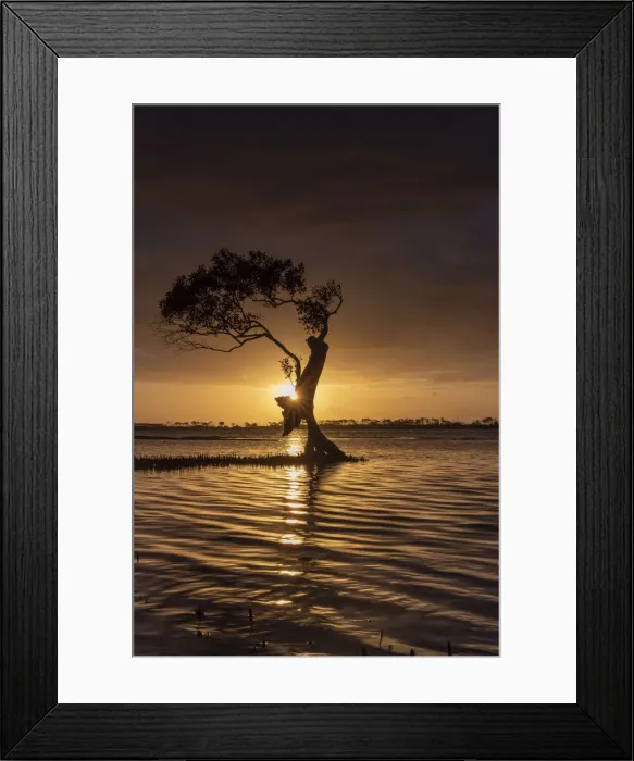 Framed Print : Sunrise at Golden beach on the Sunshine Coast, Australia
